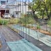 トマト植えた、今年は1本立てでも