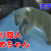 穴掘り職人ゆめちゃん