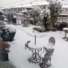 雪の積雪