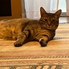 映画って素敵やん！^ ^