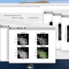 初Macを買って色々（KNIME, CellProfiler, Python, R）と設定をした備忘録