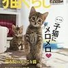 猫ぐらし12月号etc