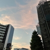 暑さが七月になってなおさら詩情というものがない