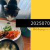20250704