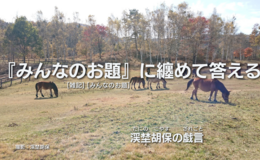 記事を見る