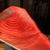 長崎産　本マグロ入荷‼️