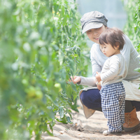 workinのひとりで神奈川