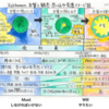 僕の本質と観念／思い込み変遷イメージ図