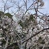 悪口を言えば、自分のハードルも上がる