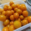 キンカンの砂糖煮・・・。
