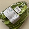 食べものでできている。