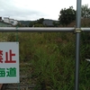 夏草の線路