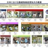 空港などで働く、検疫探知犬について調べてみた ｜ 日本、台湾、韓国、中国