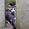何とか乗り越える