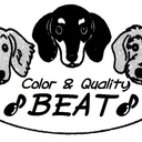 BEAT KENNEL-high quality puppies-