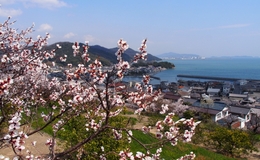 記事を見る