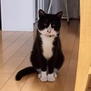 梅雨時期の不調ほんとキツイ、この症状っていつから出はじめたんだっけ？