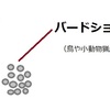 【ガニー軍曹に学ぶ】ショットガン・散弾銃の世界～⑦上下二連性ショットガン（クレー射撃で人気）