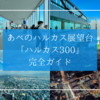 あべのハルカス展望台「ハルカス300」完全ガイド！大阪絶景パノラマと空中散歩で感動体験