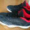 NIKE AIR JORDAN 11 LOW IE "BRED"  vs.  1996年製 AIR JORDAN 11 LOW 〔130270 001〕レビュー＆コーデ術