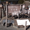 オープンドライブで寸又峡温泉へ