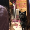 甲斐犬との愛💋〜好ｷﾅﾉﾊ ｽﾅｯｸﾊﾟﾝ♬ …..φ(｡･ω･｡)ﾎﾟｯ