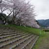 家山桜まつり　～対岸に渡って～