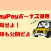 【チャレンジコースVSスタンダードコース】PayPayポイント運用の実績を公開！！