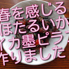 春を感じるほたるいかのイカ墨ピラフ作ってみました！かなり美味しいです！