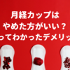 月経カップはやめた方がいい？デメリット・危険性はどう？