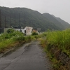 雨の中のウォーキング