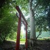 第1596回　歴史や神話は、とっても大事なことなのだけれど、それが歪められて伝えられると、人間を悪しき方向へと導いてしまう。