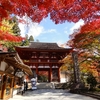 紅葉の“女人高野” 限定御朱印も登場　奈良・室生寺