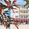 小3男子 学童保育を辞めた後の放課後の過ごし方に悩む夏