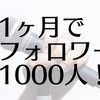 1ヶ月でフォロワー1000人を獲得した2つの方法