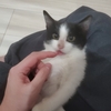 ヤハ！