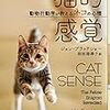 猫的感覚