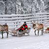 How Do You Enjoy Northern Lights on Rovaniemi Safaris?