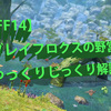 【FF14】ブレイフロクスの野営地を徹底攻略！超初心者でもOK！全ロール対応のコンプリート版！