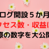 【報告】ブログ開設５か月目のアクセス数・収益は？実際の数字を大公開！