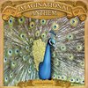 Various Artists / Imaginational Anthem Vol.[http://www.tompkinssquare.com/imaginational.html:title=1],[http://www.tompkinssquare.com/ia2.html:title=2]