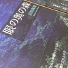 目取真俊『眼の奥の森』書評｜死者は沈黙の彼方に