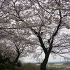 八景の棚（相模原市南区当麻・下溝）