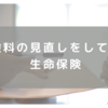 【節約術その②】保険料の見直しをしてみた　生命保険