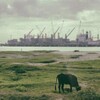 Luck Razanajaona&“Disco Afrika: Une histoire malagache”/マダガスカル人として、アフリカ人として