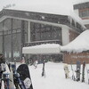 滑走日報 - 猛吹雪とゼミとかけて、そのこころは…厳しい！