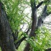 【雨の被害がスゴカった😲】