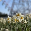 葛西臨海公園へ