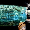 バイクで訪園館：山梨県立富士湧水の里水族館 森の中の水族館。