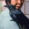 那須烏山の束原さん方で、けがを助けたカラスが懐く（栃木県）